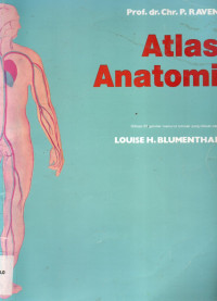 Image of Atlas Anatomi