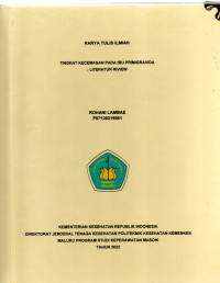 Image of TINGKAT KECEMASAN PADA IBU PRIMIGRAVIDA : LITERATUR RIVIEW